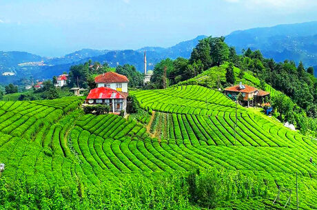 RAMAZAN BAYRAMI ÖZEL ULTRA HERŞEY DAHİL BATUM KARADENİZ TURU 2 GECE 3 GÜN