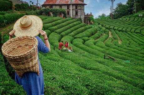 SİVAS ÇIKIŞLI  KURBAN BAYRAMI ÖZEL ULTRA HERŞEY DAHİL BATUM KARADENİZ TURU 2 GECE 3 GÜN